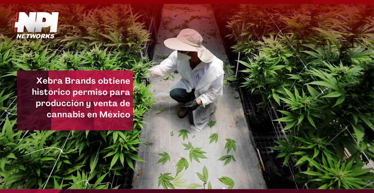 Xebra Brands Obtiene Hist Rico Permiso Para Producci N Y Venta De