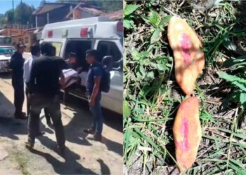 Chiapas: Tres niños mueren tras comer pan envenenado