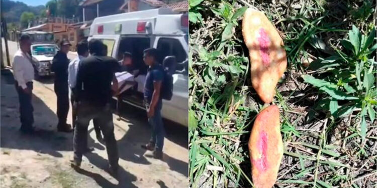 Chiapas: Tres niños mueren tras comer pan envenenado