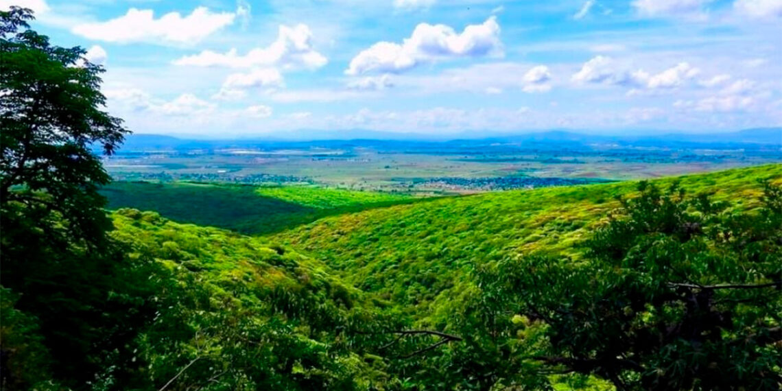 Irapuato tendrá un día y tranquilo en este Domingo de Ramos
