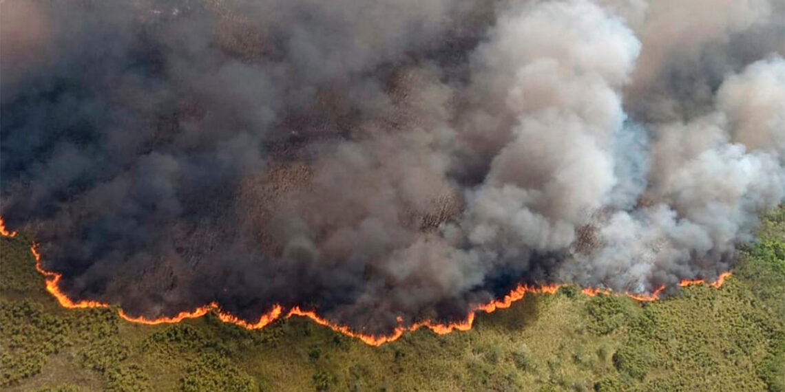 México enfrenta 114 incendios forestales activos; 60 % fuera de control