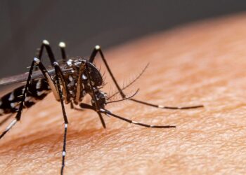 xr:d:DAE2w36l5m0:9179,j:35828955002,t:22092014