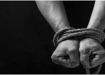 Compressed by jpeg-recompress