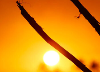 Calor intenso y cielos despejados dominarán el clima de Irapuato
