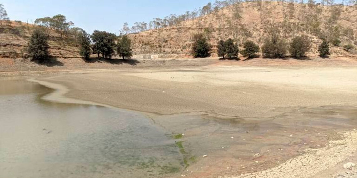 Sequía afecta a 33 municipios de Guanajuato; advierten crisis hídrica