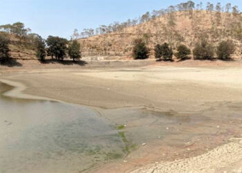 Sequía afecta a 33 municipios de Guanajuato; advierten crisis hídrica