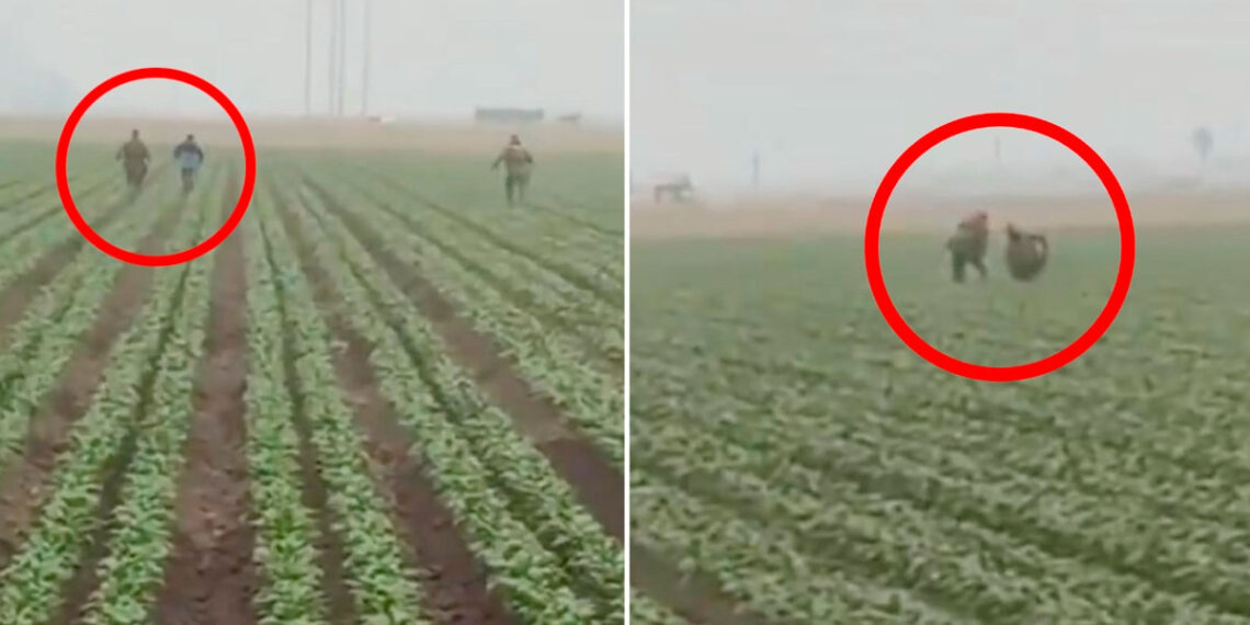 Trump ordena intensificar redadas migratorias