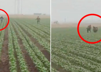 Trump ordena intensificar redadas migratorias